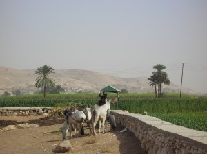 Egipto, cerca de las ruinas de Abu Simbel