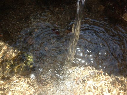 Fuente del Puerto de la Lancha, no es necesario rebelar su ubicación. Foto: Carlos Alameda