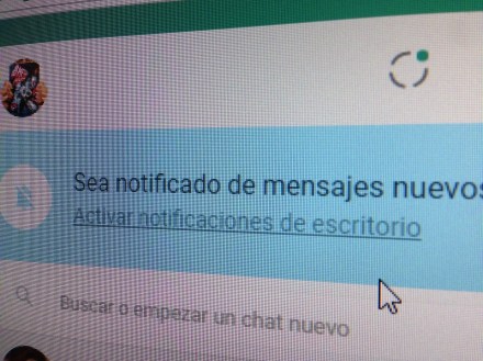 "Sea notificado", curiosa expresión de Whatsapp...
